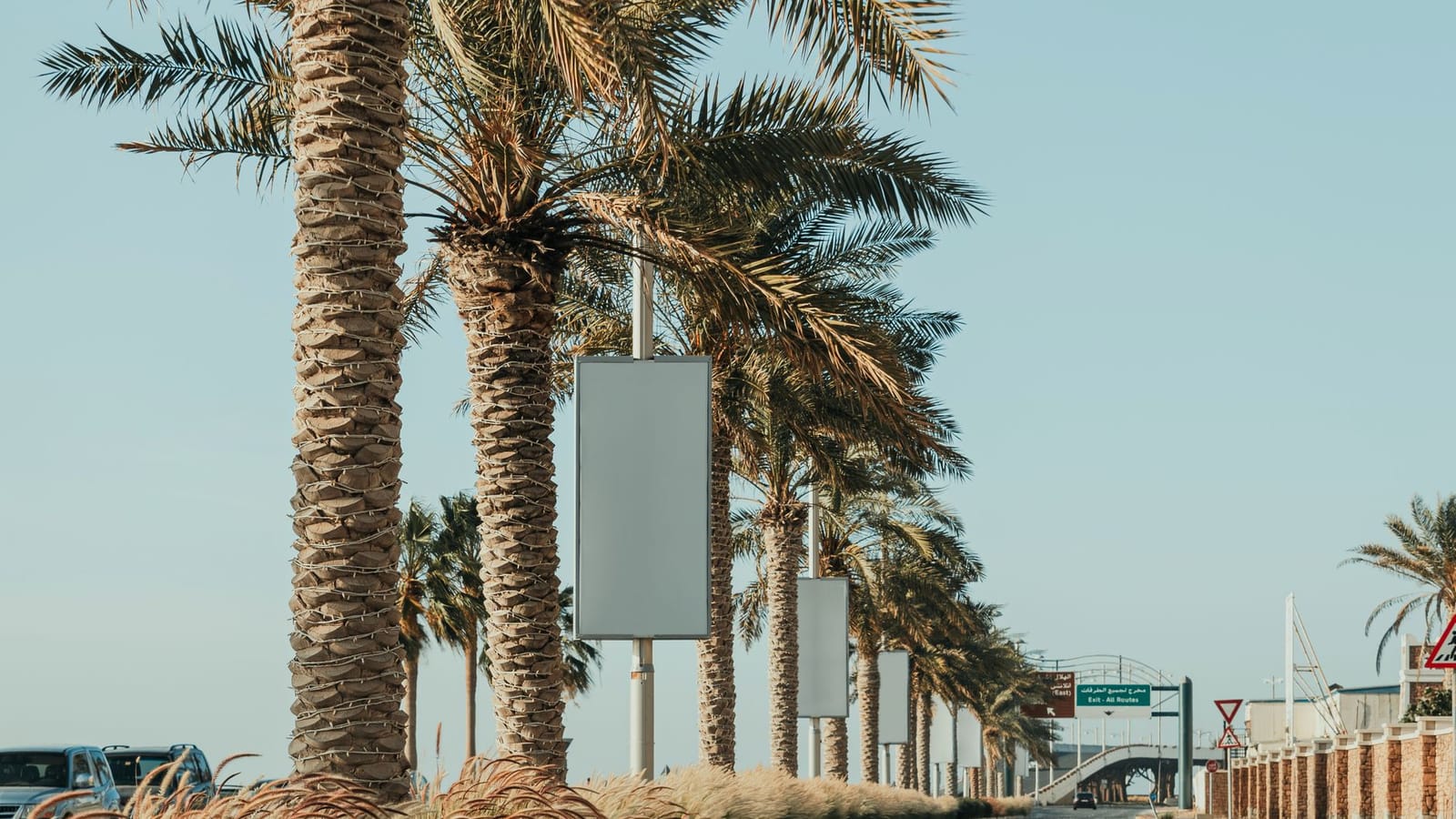 Palm, Dubai