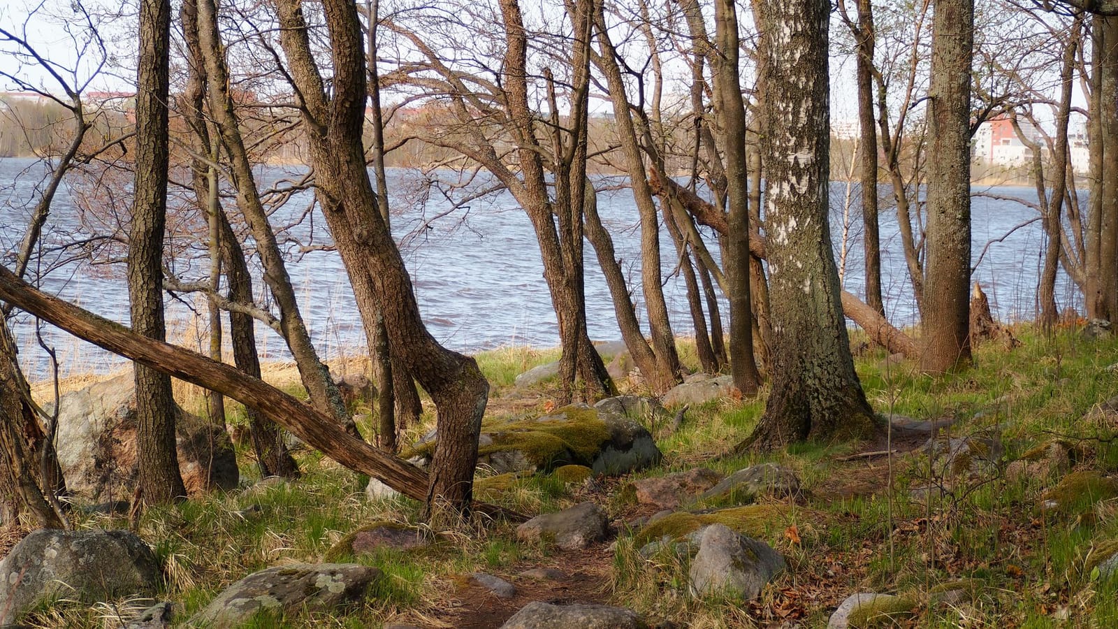 Things to do in National Park