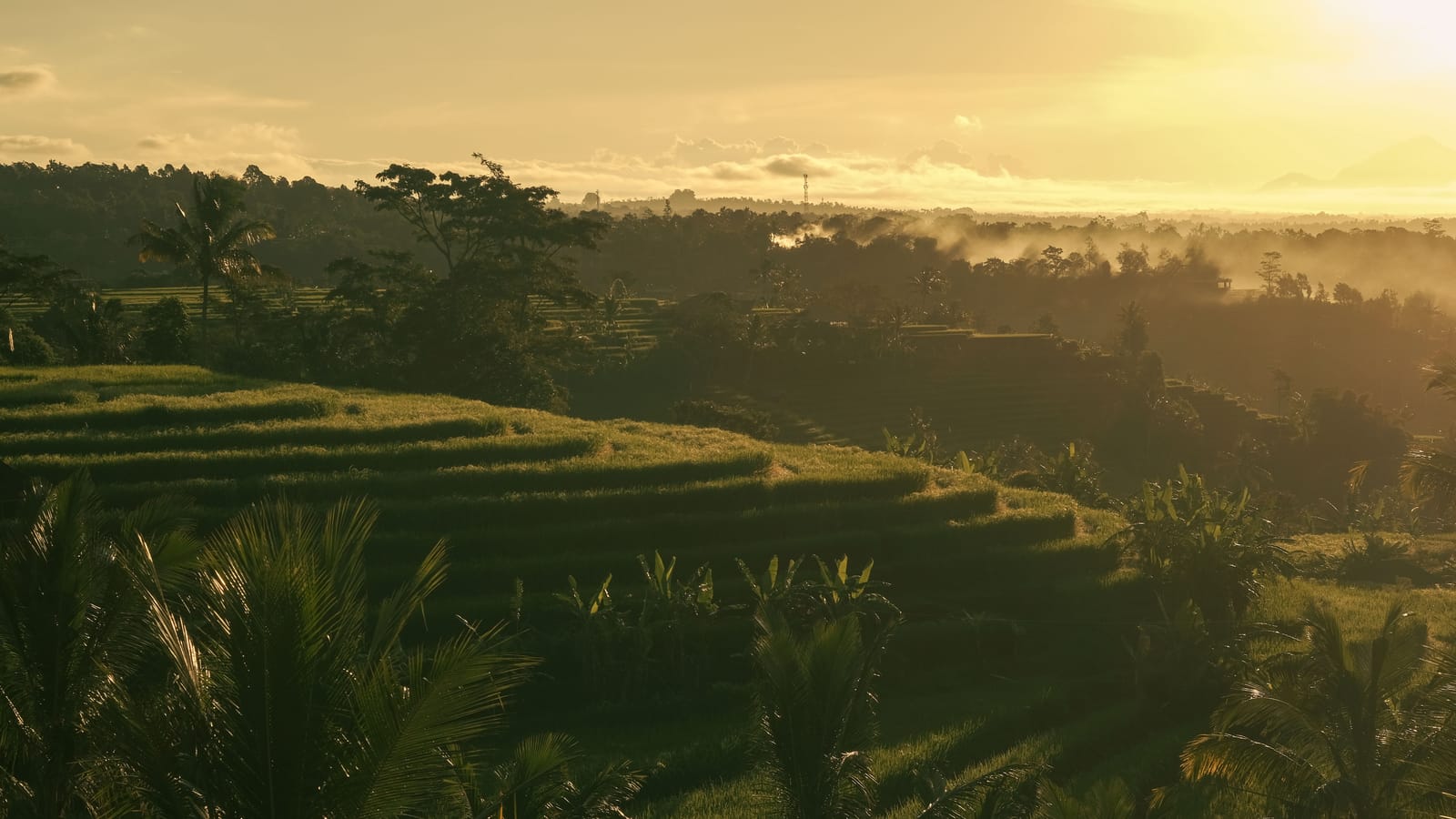 Bali, Ubud