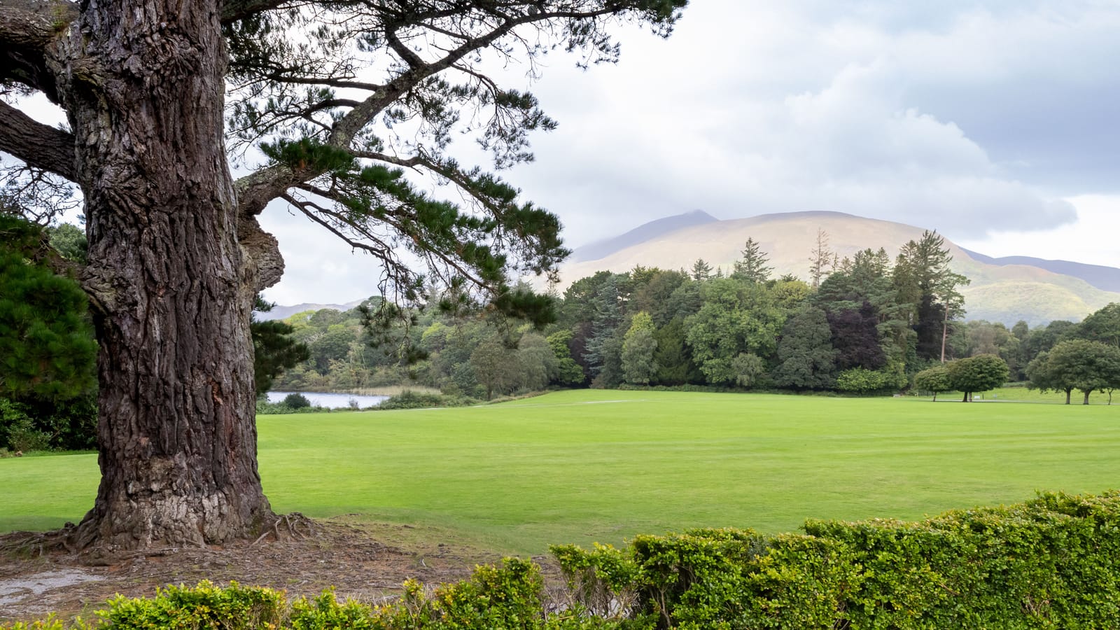 Things to do in Ring of Kerry