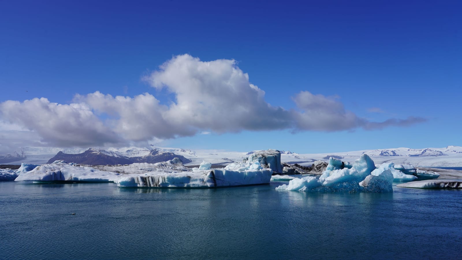 Things to do in Glacier Lagoon