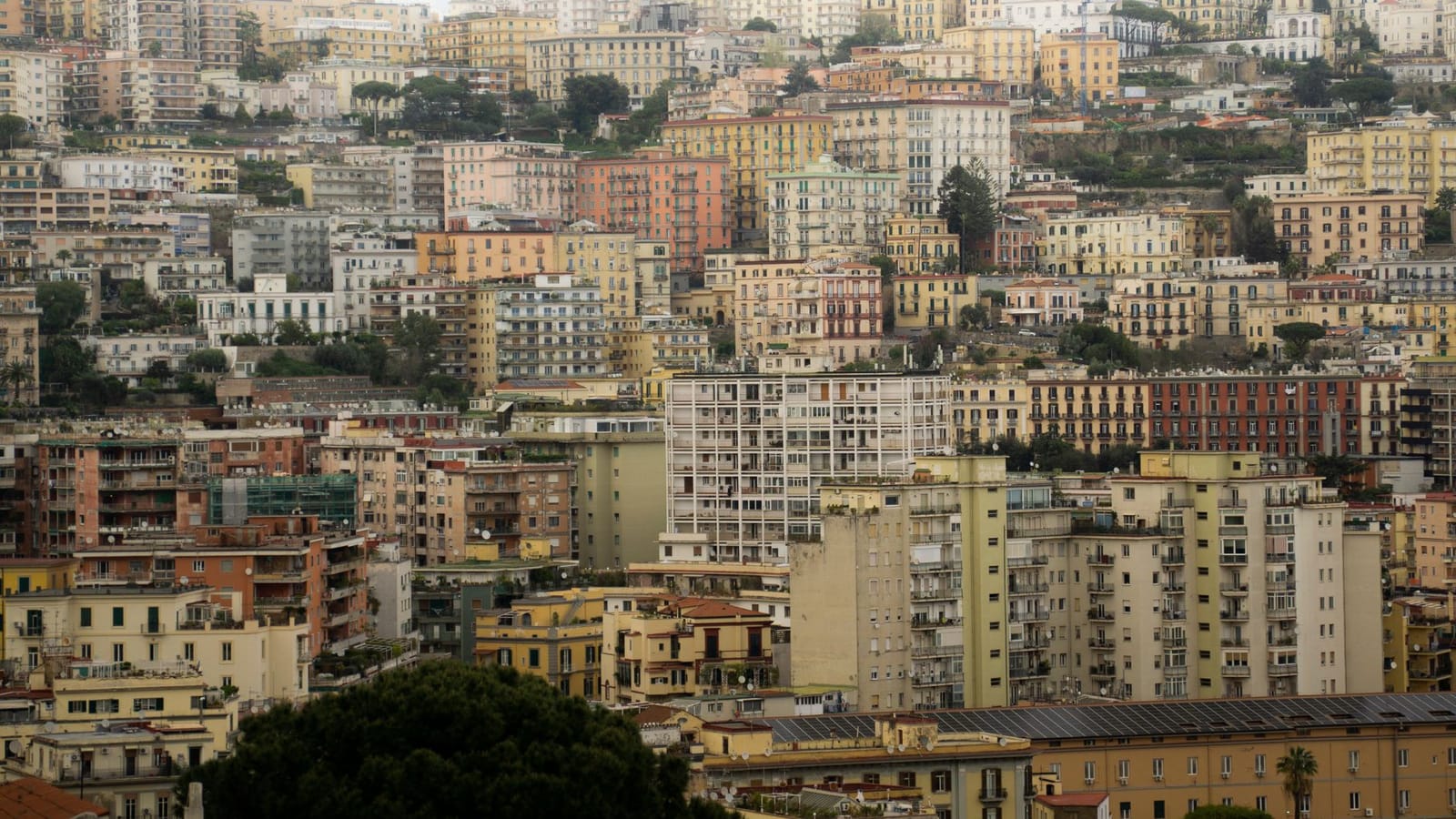 Things to do in Vetri