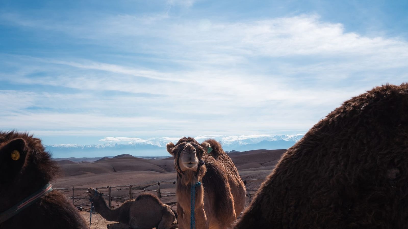 Agafay Desert, Marrakesh