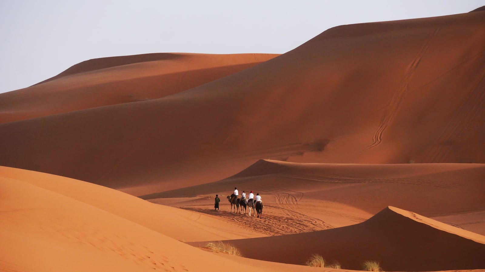 Things to do in Sahara Desert