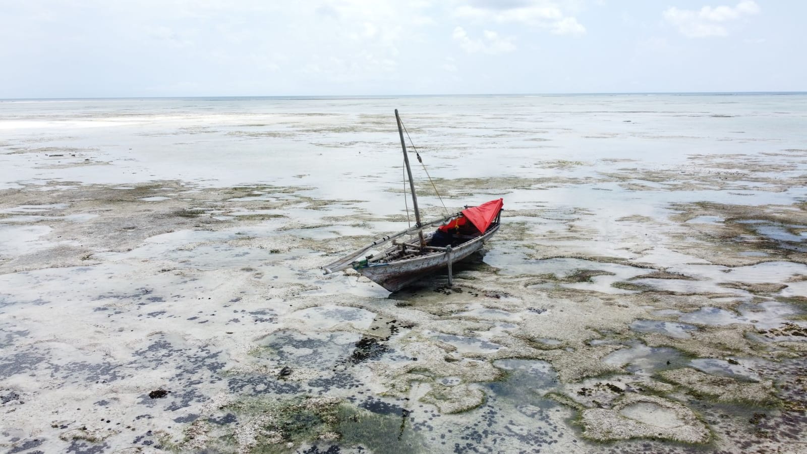 Things to do in Dhow