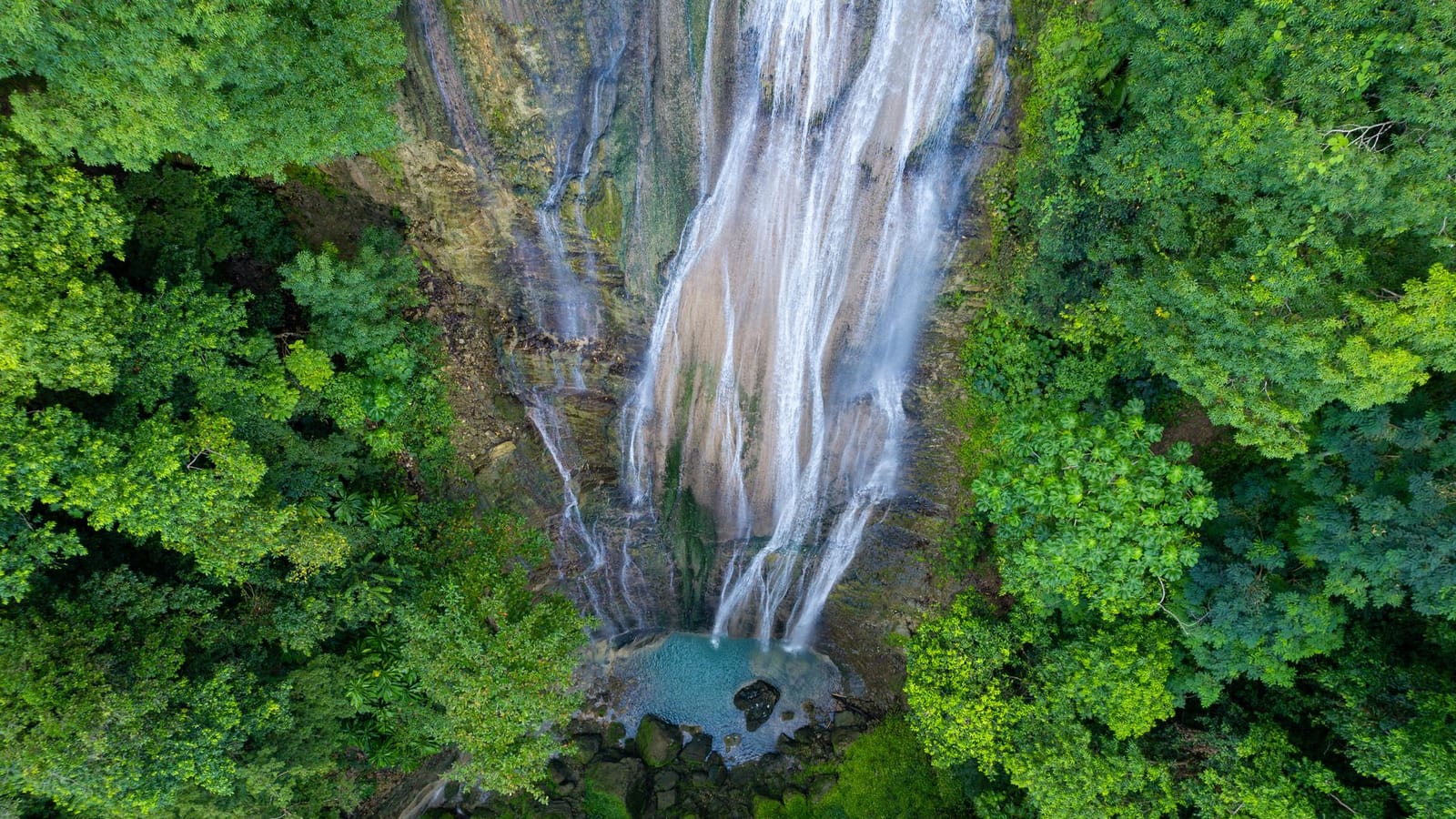 Things to do in Jamaica