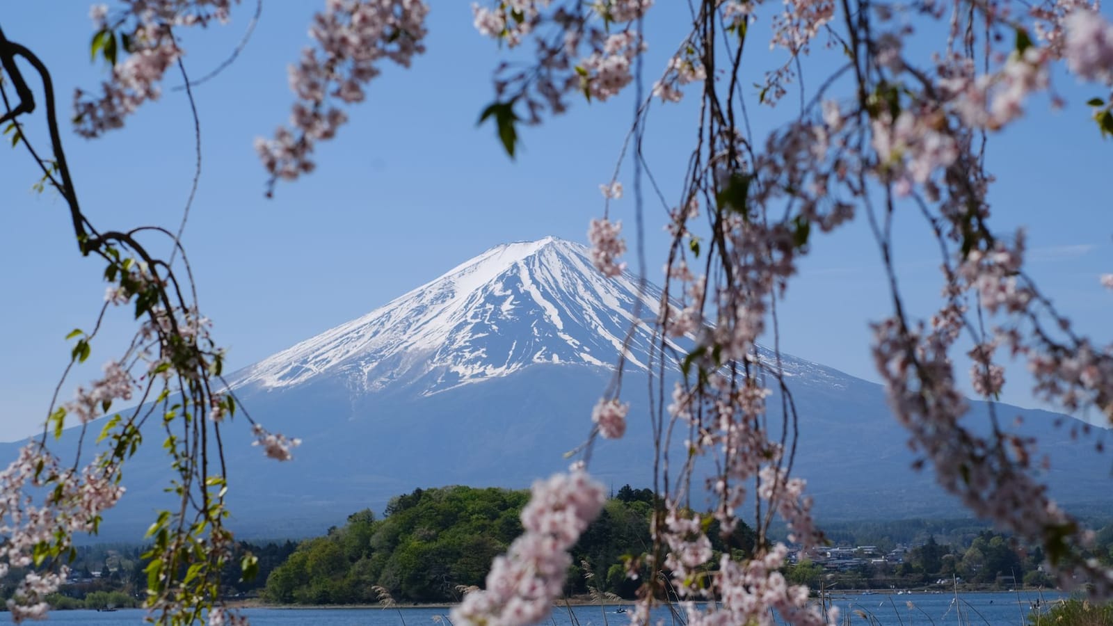 Things to do in Japan