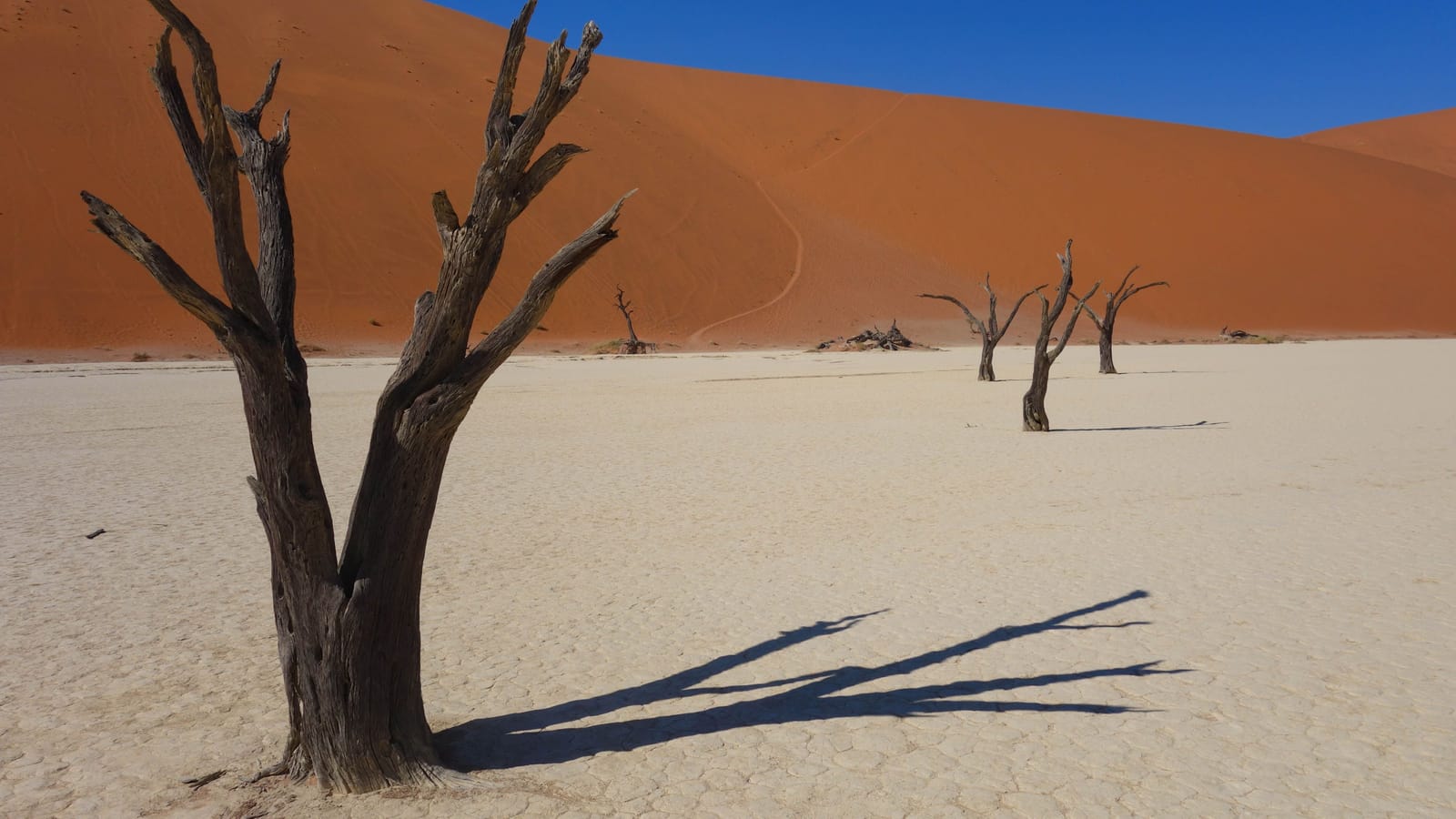 Things to do in Namibia