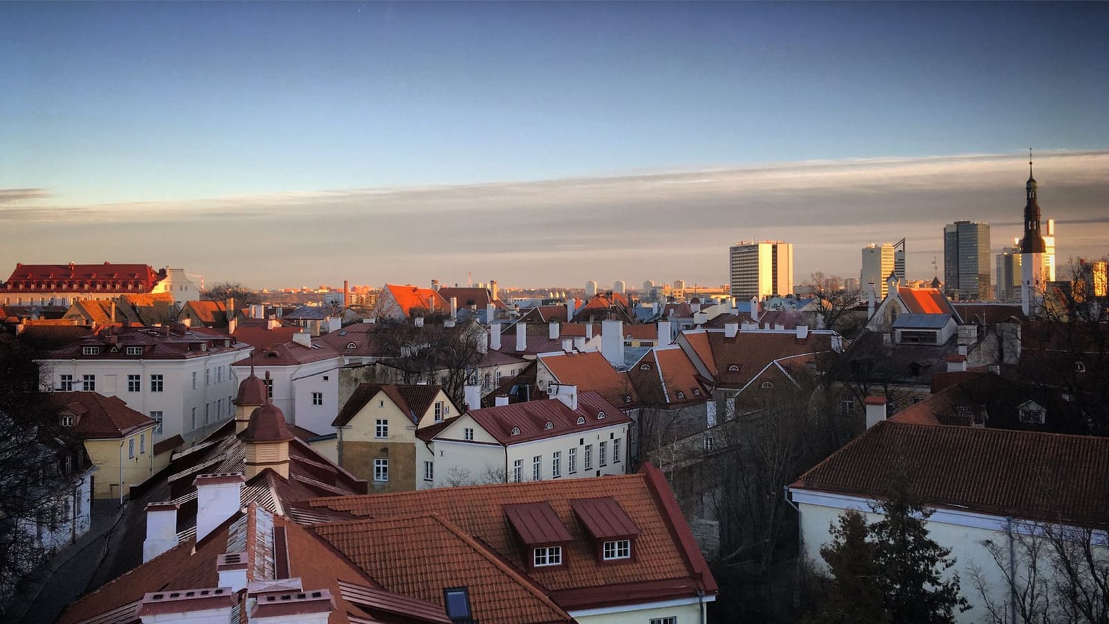 Things to do in Tallinn