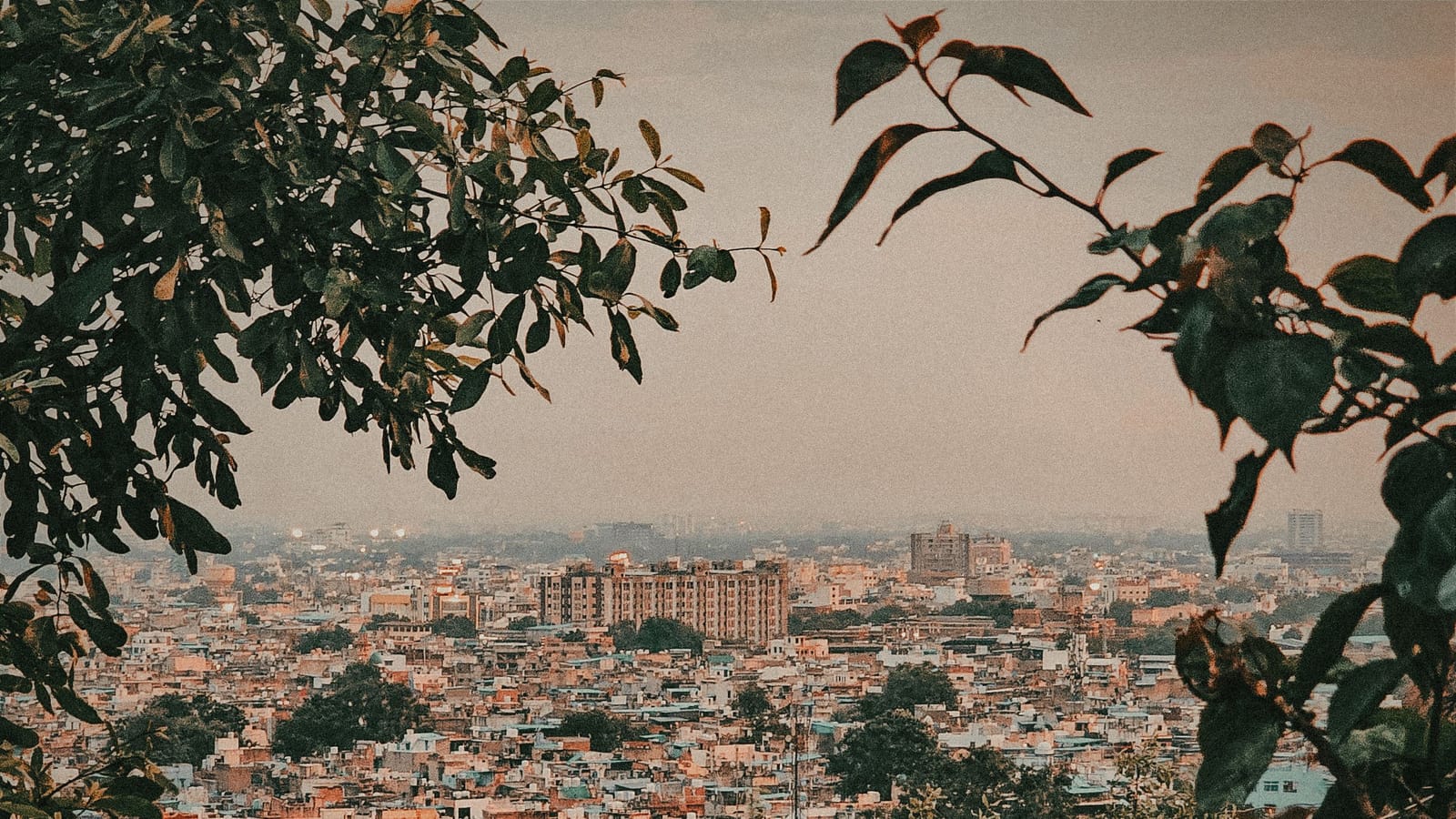 Things to do in Jodhpur