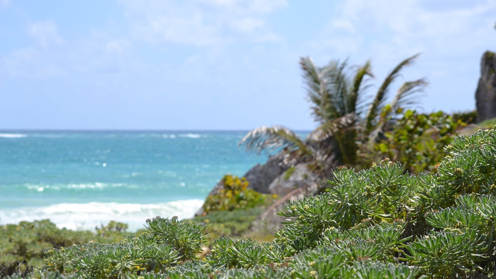 Things to do in Tulum