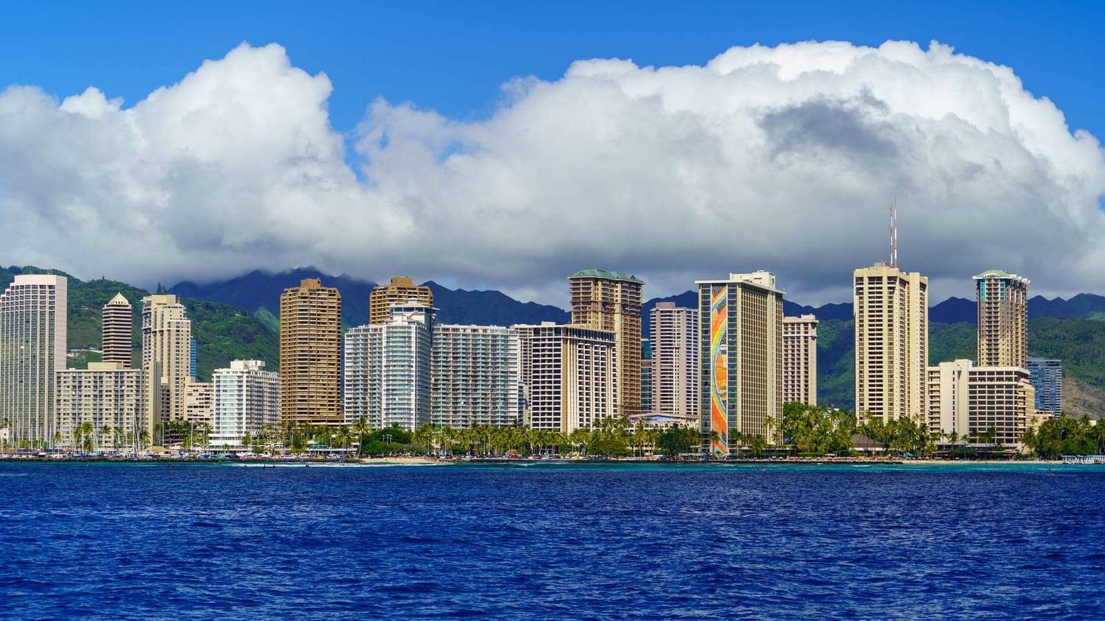 Things to do in Paradise