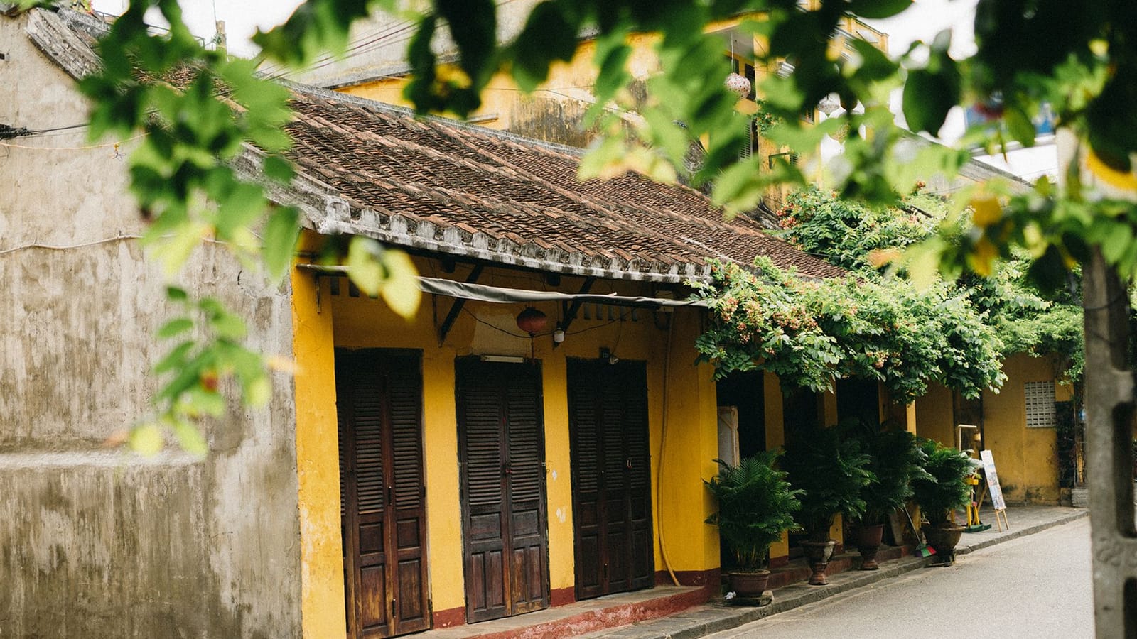 Things to do in Hội An