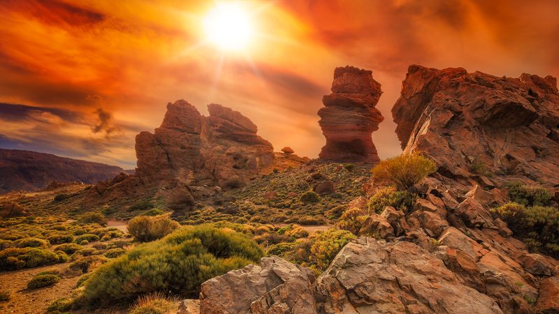 Top 5 Things to do in Tenerife