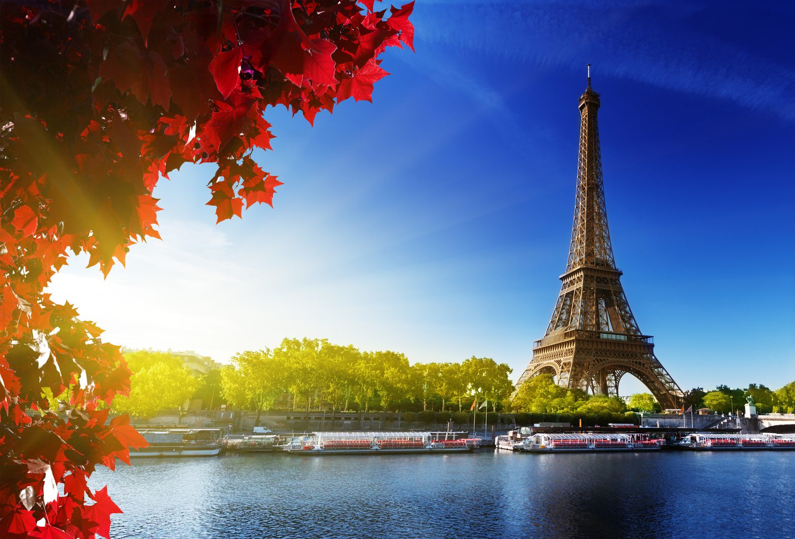 Top 5 Things to do in Paris