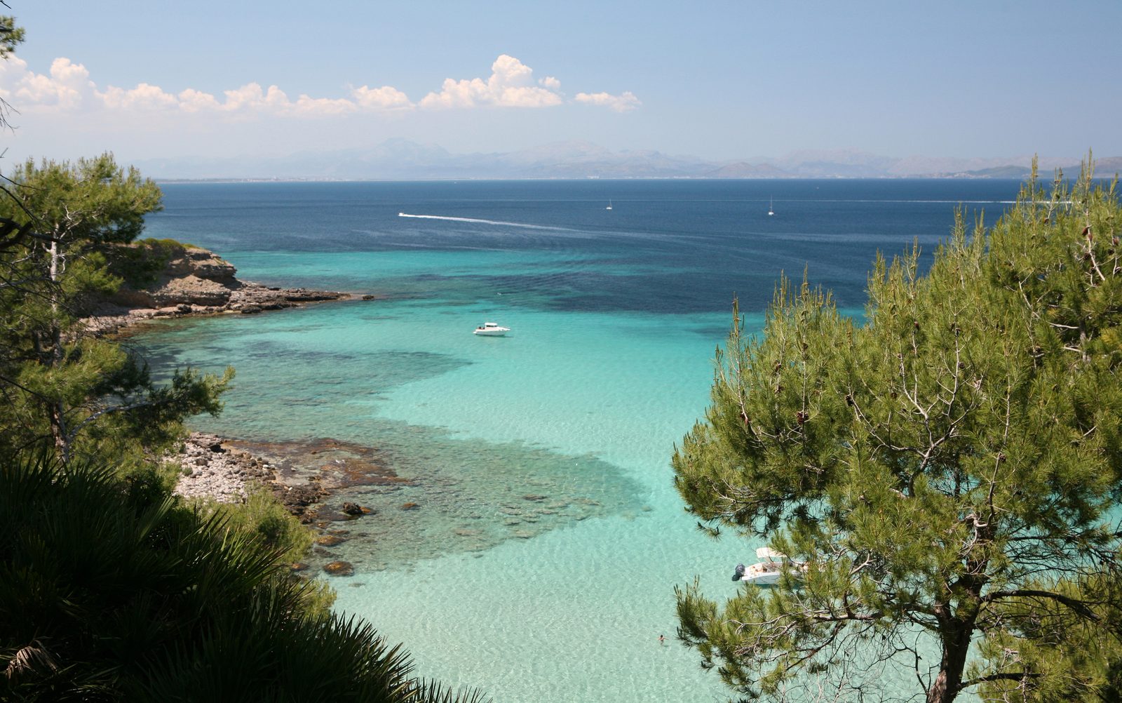 Top 5 Things to do in Mallorca